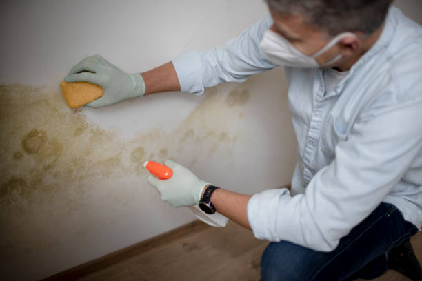 Best Crawl Space Mold Removal  in Port Clinton, OH